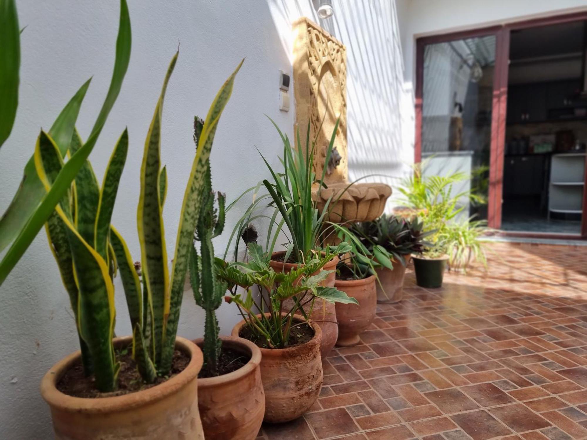 Riad Searenity Tamraght 외부 사진